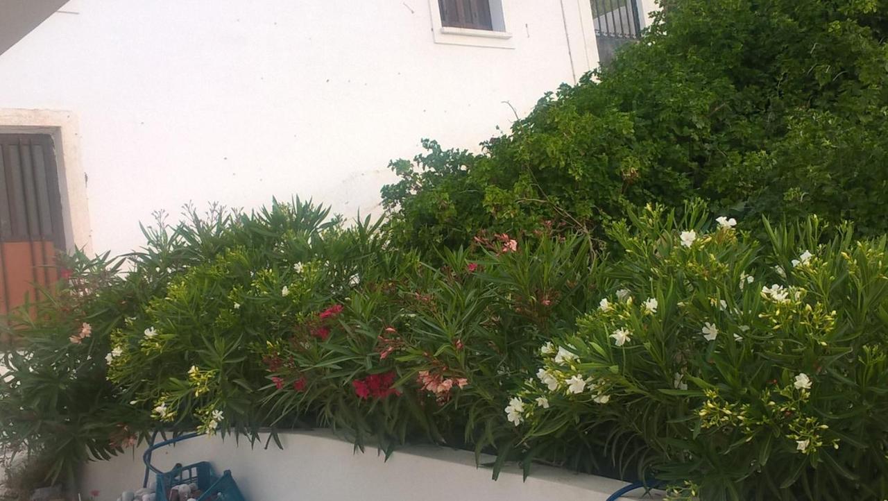 Apartamento Gyrouli 1 Pera Gyalos Exterior foto